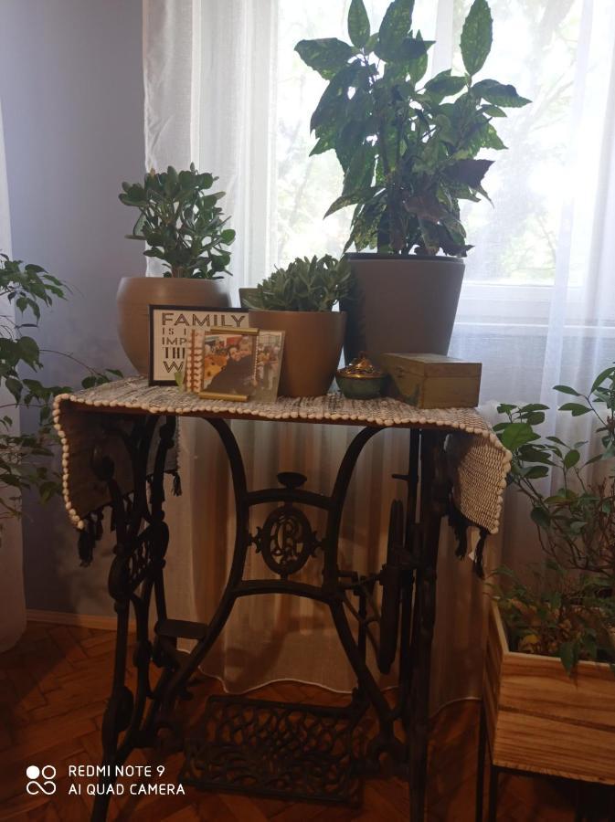 Apartmán Aparmani Djuric Subotica Exteriér fotografie
