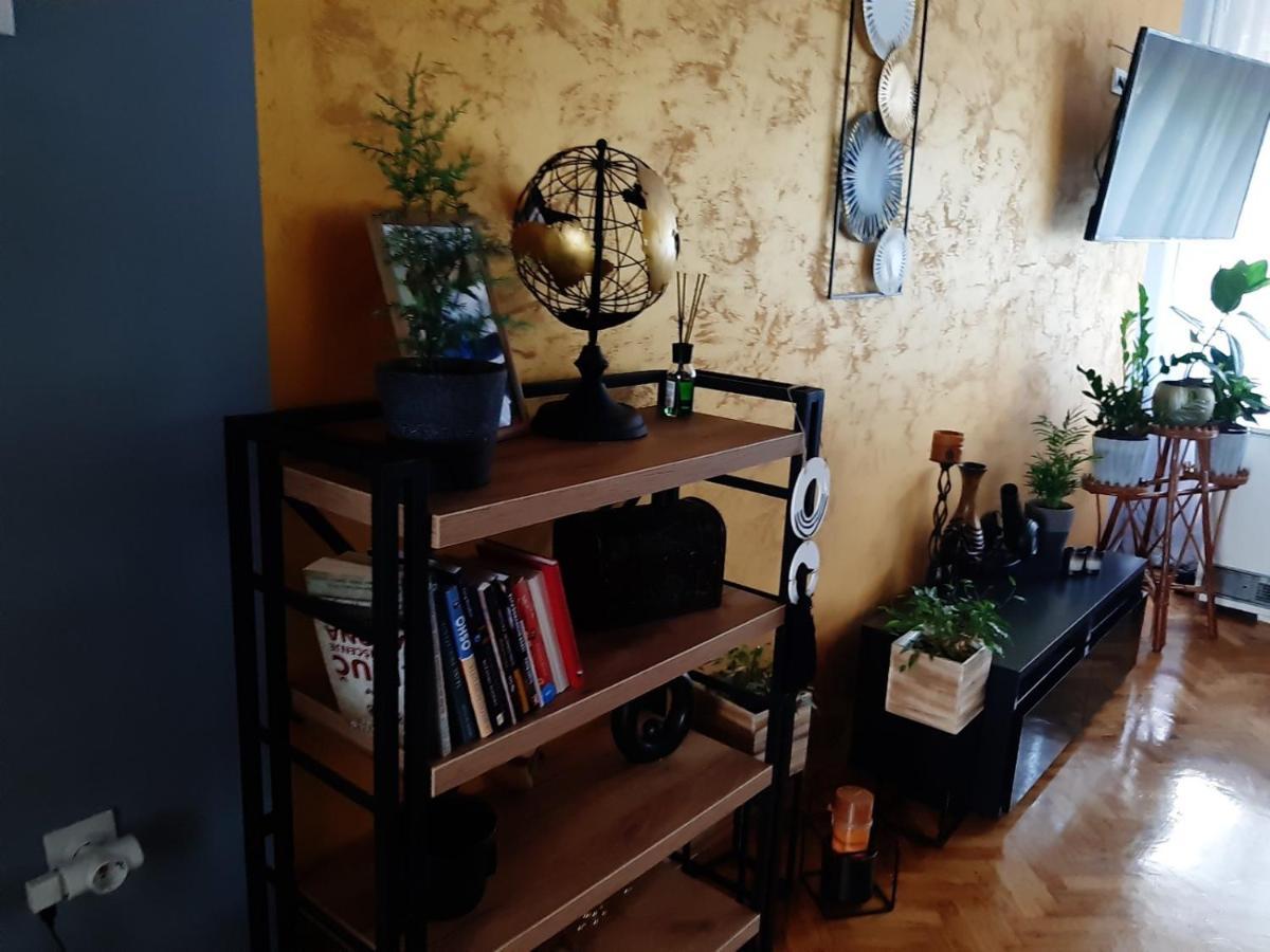 Apartmán Aparmani Djuric Subotica Exteriér fotografie