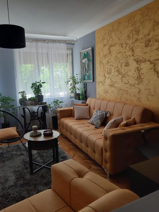 Apartmán Aparmani Djuric Subotica Exteriér fotografie